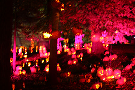 Great Jack-O'-Lantern Blaze 2008