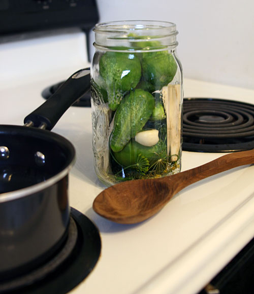 canning cucumbers in brine