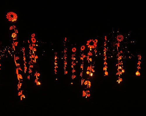 The Great Jack O' Lantern Blaze 2009 in Historic Hudson Valley, NY