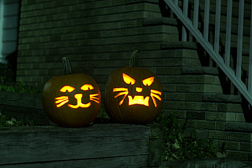 carved Halloween pumpkins