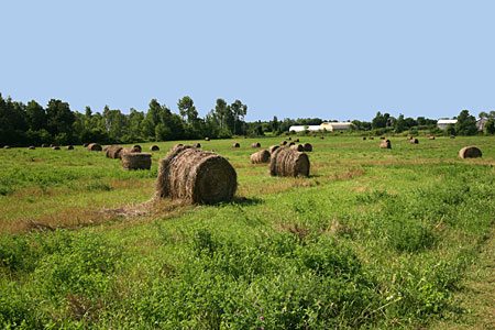 Forfar, Ontario, Canada