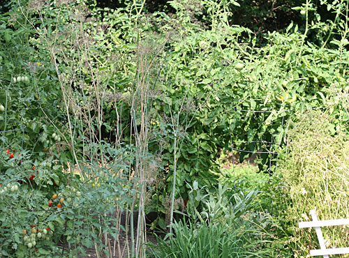 garden garden