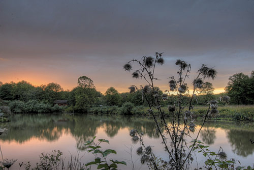 Sunset at The Great Swamp