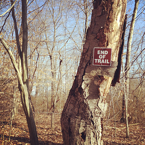 Nature photo taken on a hike through the Great Swamp Wilderness Area