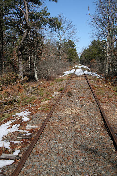 New Jersey Pine Barrens