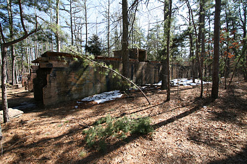 New Jersey Pine Barrens