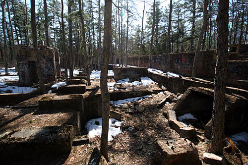 New Jersey Pine Barrens