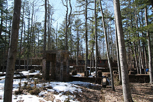 New Jersey Pine Barrens