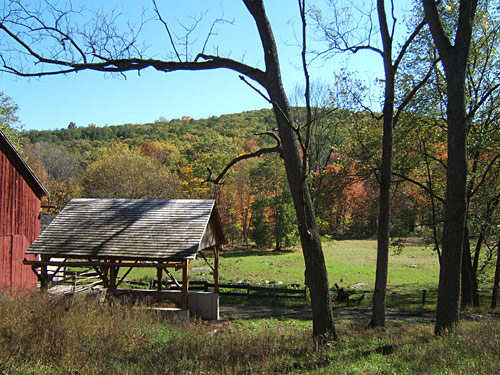 Quiet Valley Harvest Festival