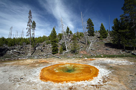 Yellowstone National Park